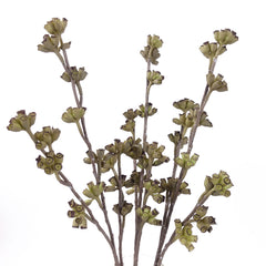 Real-touch Eucalyptus Seed Spray