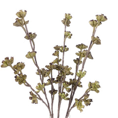 Real-touch Eucalyptus Seed Spray