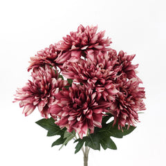 7 Heads Dahlia Bush