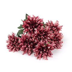 7 Heads Dahlia Bush