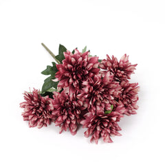7 Heads Dahlia Bush