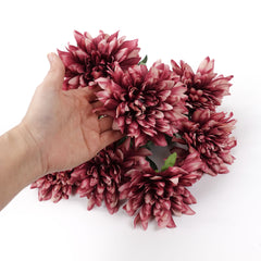 7 Heads Dahlia Bush