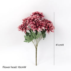 7 Heads Dahlia Bush