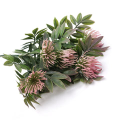 5 Heads Leucospermum Pincushion Bush 33cmH