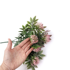 5 Heads Leucospermum Pincushion Bush 33cmH