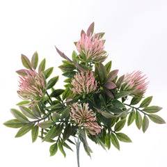 5 Heads Leucospermum Pincushion Bush 33cmH