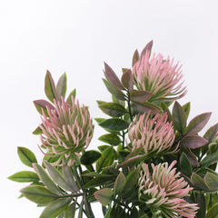 5 Heads Leucospermum Pincushion Bush 33cmH