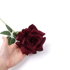 Single Rose Stem in Burgundy