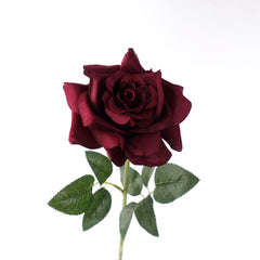 Single Rose Stem in Burgundy