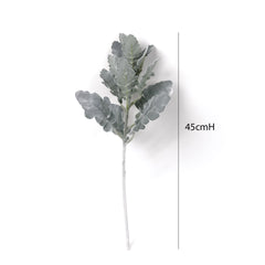 Dusty Miller Stem 45cmH