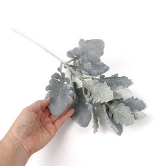 Dusty Miller Stem 45cmH