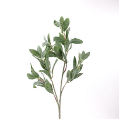 Lambs Ear Spray 68cmH