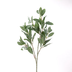 Lambs Ear Spray 68cmH