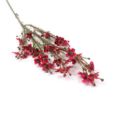 Wax Flower Stem in Red