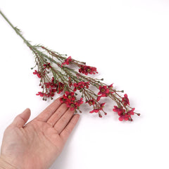 Wax Flower Stem in Red