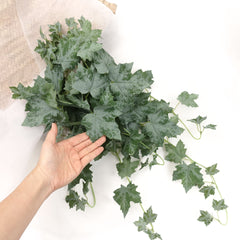 Artificial Oak Leaf Ivy Hanging - Variegated Ivy Hanging