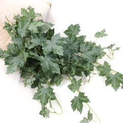 Artificial Oak Leaf Ivy Hanging - Variegated Ivy Hanging