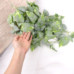 Artificial Pothos Plant Hanging in White Green