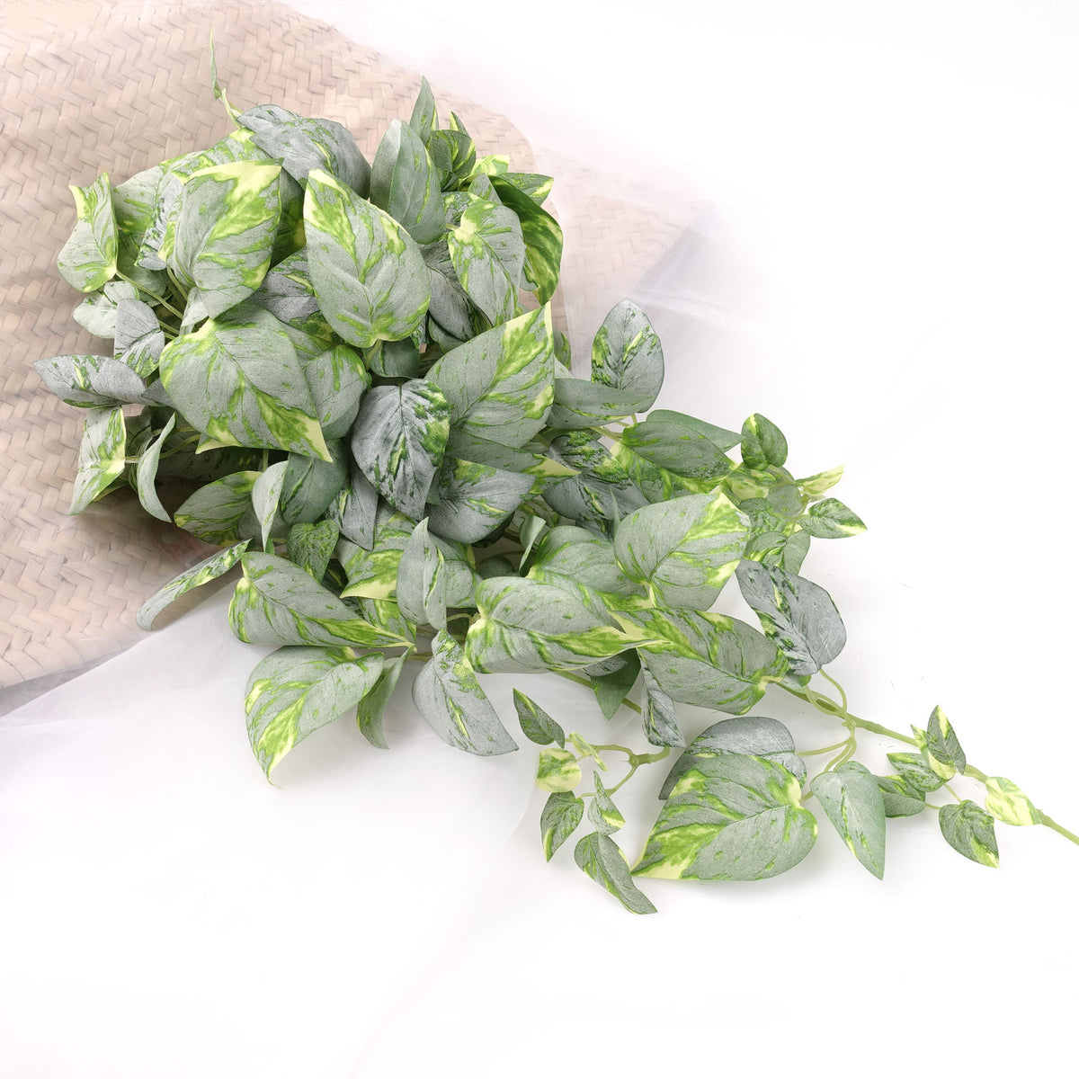 Artificial Pothos Plant Hanging in White Green