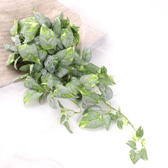 Artificial Pothos Plant Hanging in White Green