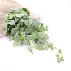Artificial Pothos Plant Hanging in White Green