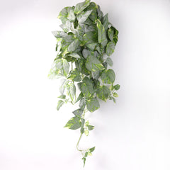 Artificial Pothos Plant Hanging in White Green