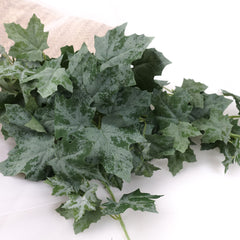 Artificial Oak Leaf Ivy Hanging - Variegated Ivy Hanging