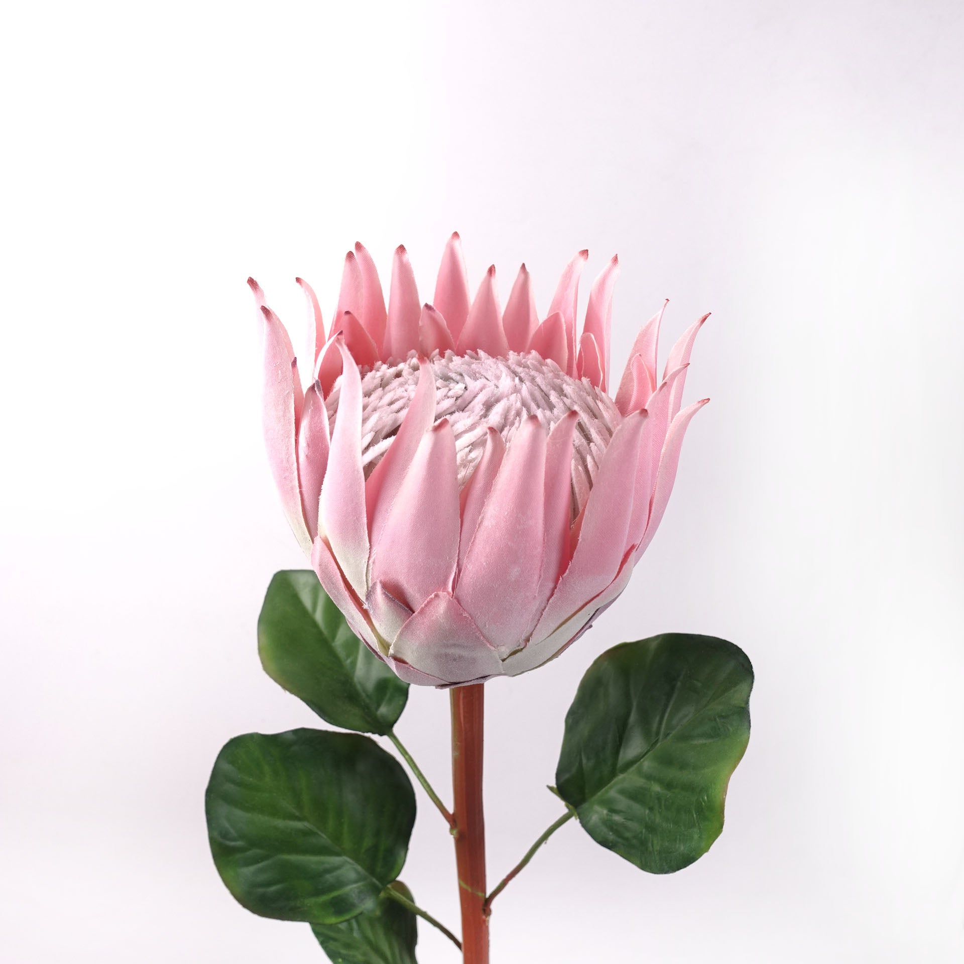 artificial King Protea Bloom in Pink