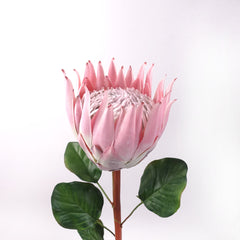 artificial King Protea Bloom in Pink