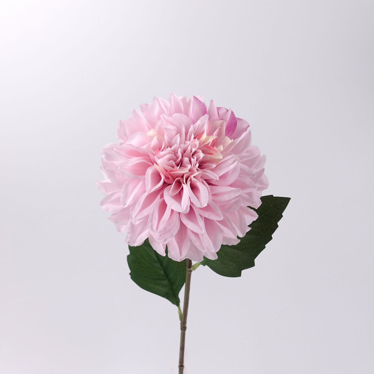Real-touch Dahlia Flower Stem in Pink