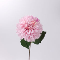 Real-touch Dahlia Flower Stem in Pink