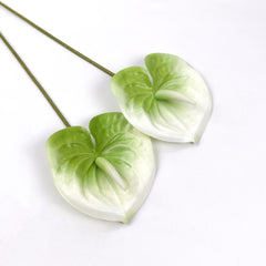 2pcs Anthurium Stem White Green 60cmH