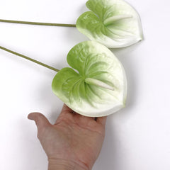 2pcs Anthurium Stem White Green 60cmH