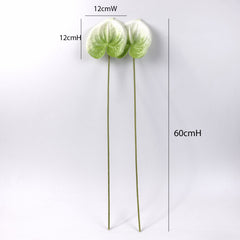 2pcs Anthurium Stem White Green 60cmH
