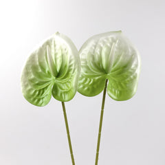 2pcs Anthurium Stem White Green 60cmH