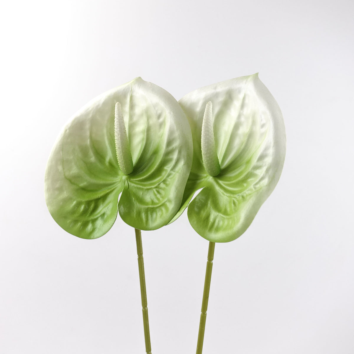 2pcs Anthurium Stem White Green 60cmH