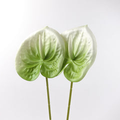 2pcs Anthurium Stem White Green 60cmH