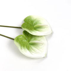 2pcs Anthurium Stem White Green 60cmH
