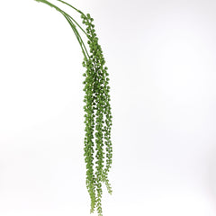 Long Trailing Pearls Hanging