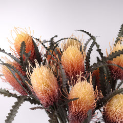 2 Heads Artificial Banksia 79cmH