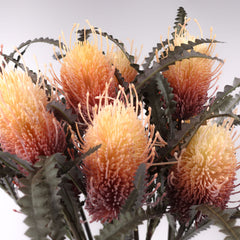 2 Heads Artificial Banksia 79cmH