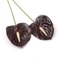 2pcs Anthurium Stem Burgundy 60cmH