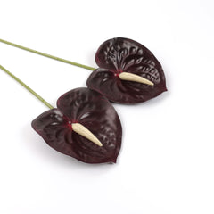 2pcs Anthurium Stem Burgundy 60cmH