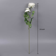 3 Heads Ranunculus Stem 61cmH