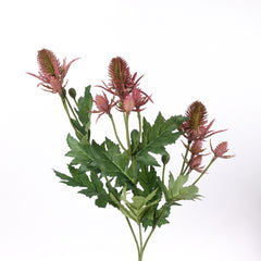Sea Holly Thistle Spray in Pink
