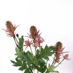 Sea Holly Thistle Spray in Pink