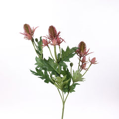 Sea Holly Thistle Spray in Pink