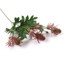 Sea Holly Thistle Spray in Pink