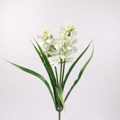 3 Heads Hyacinth Stem
