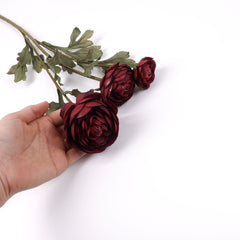 3 Heads Ranunculus Stem in Burgundy